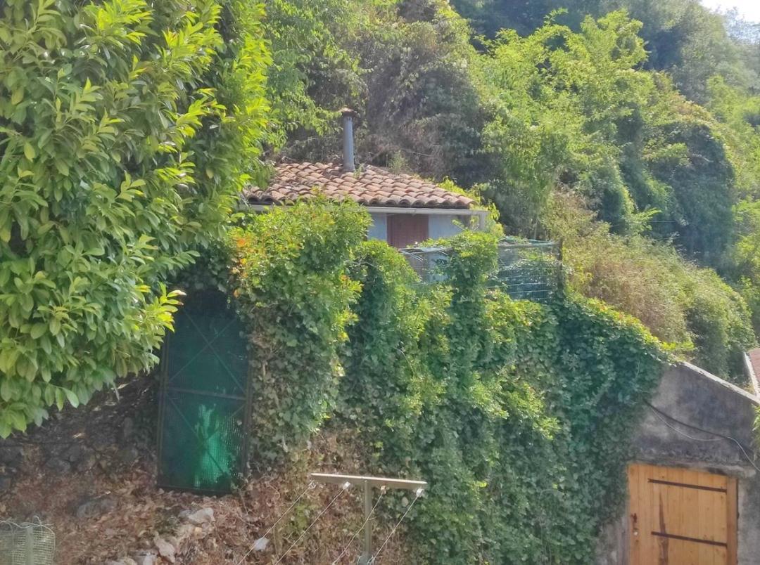Hebergements Entiers Two Homes T1 Bas Or T1 Haut -Aux Terrasses Du Pech Foix Exterior foto